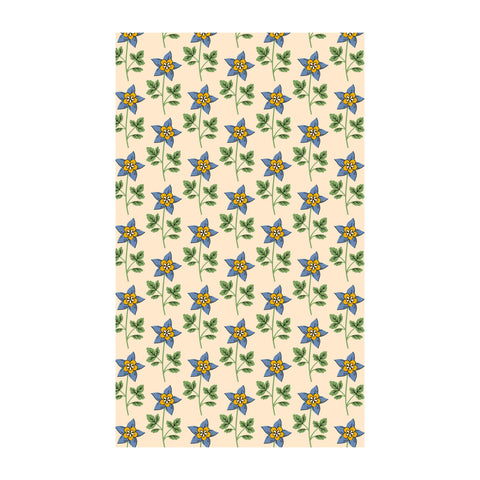 Colorado Kitchen & Tea Towel